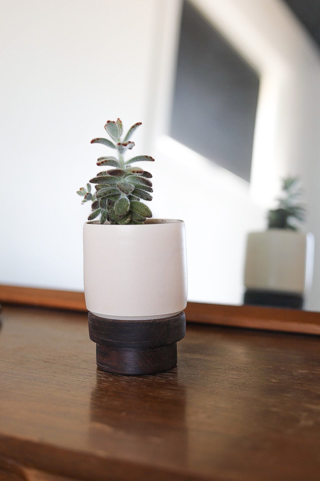 Pepo Ceramics + DREW Desk Planter - very soft pink and walnut