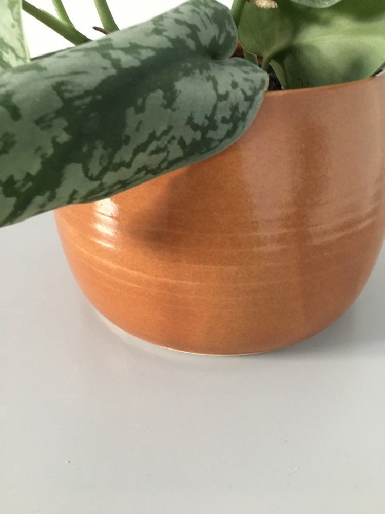 Pepo Ceramics Plain Round Planter - retro orange