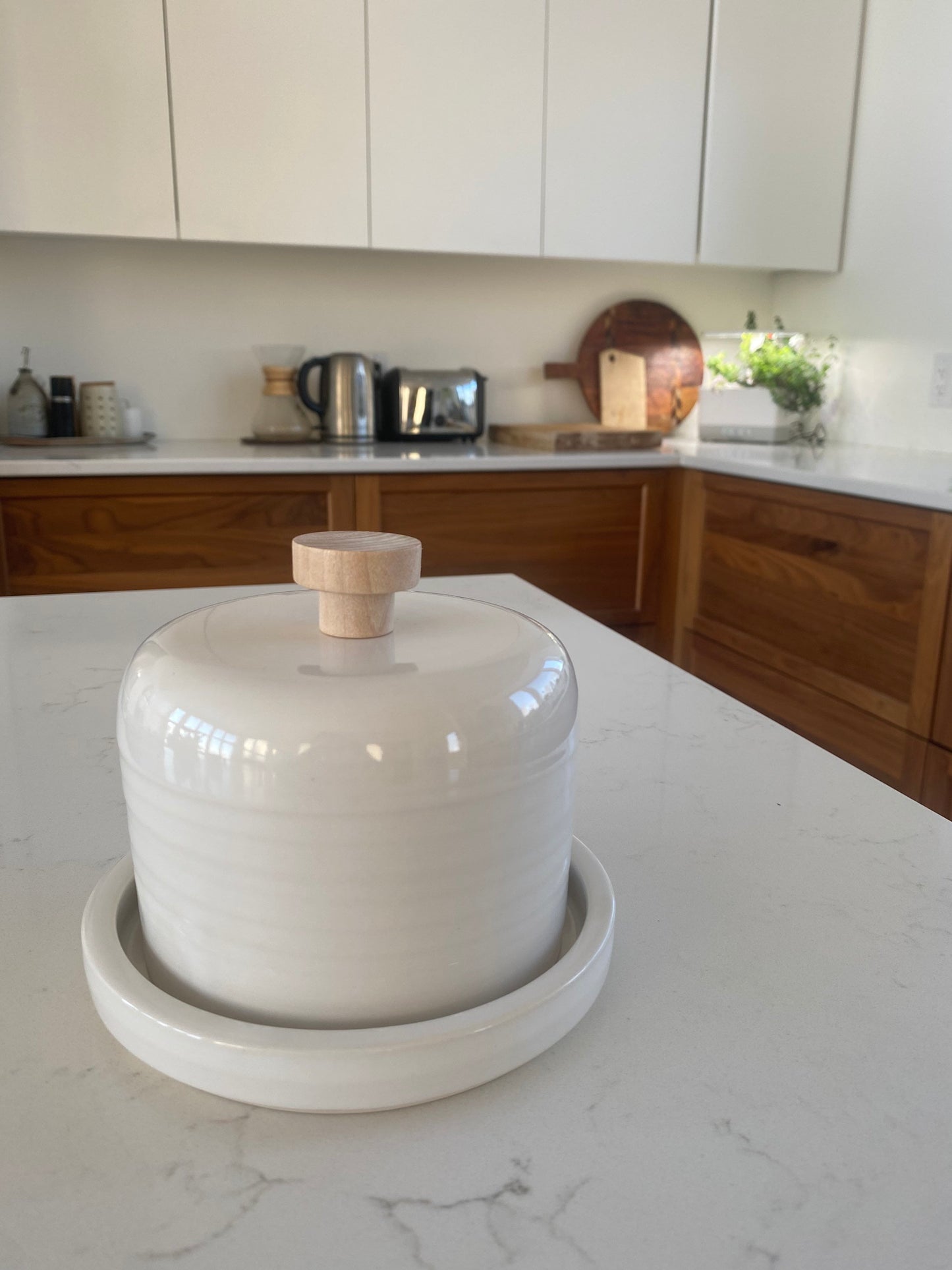 Pepo Ceramics Butter Dish Plain with Wood Knob - gloss white