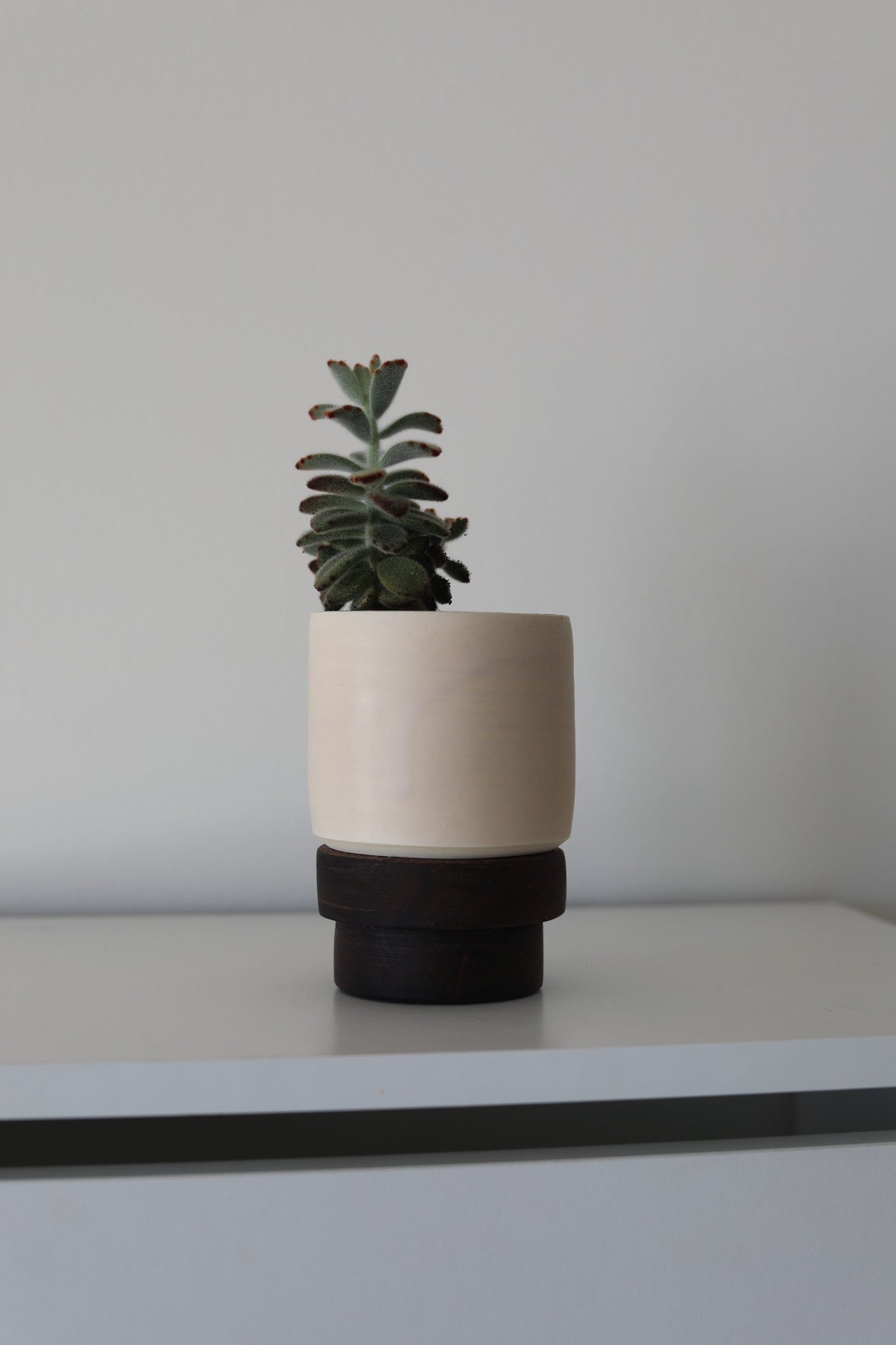 Pepo Ceramics + DREW Desk Planter - very soft pink and walnut