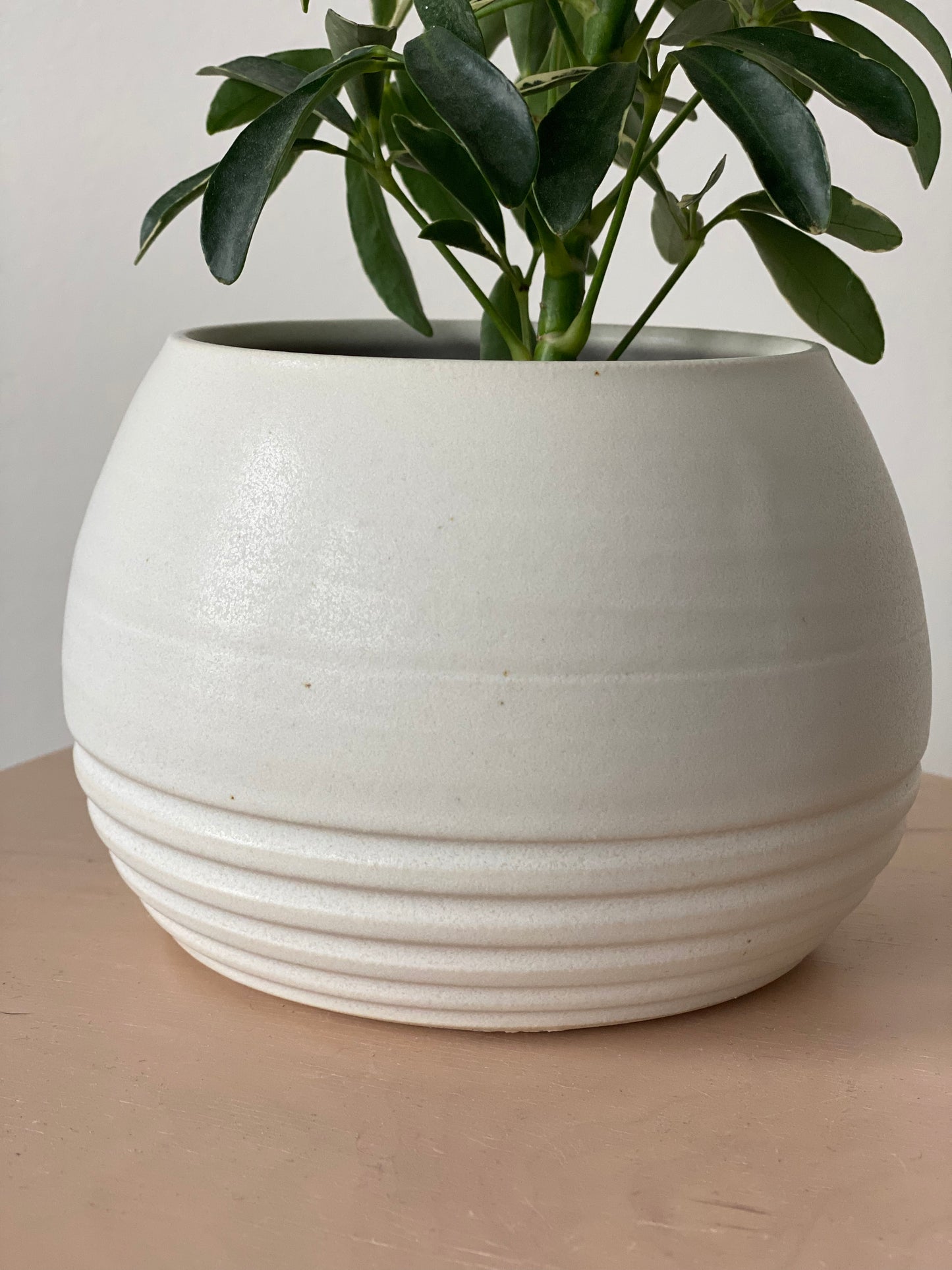 Pepo Ceramics Stripe Round Planter - matte white